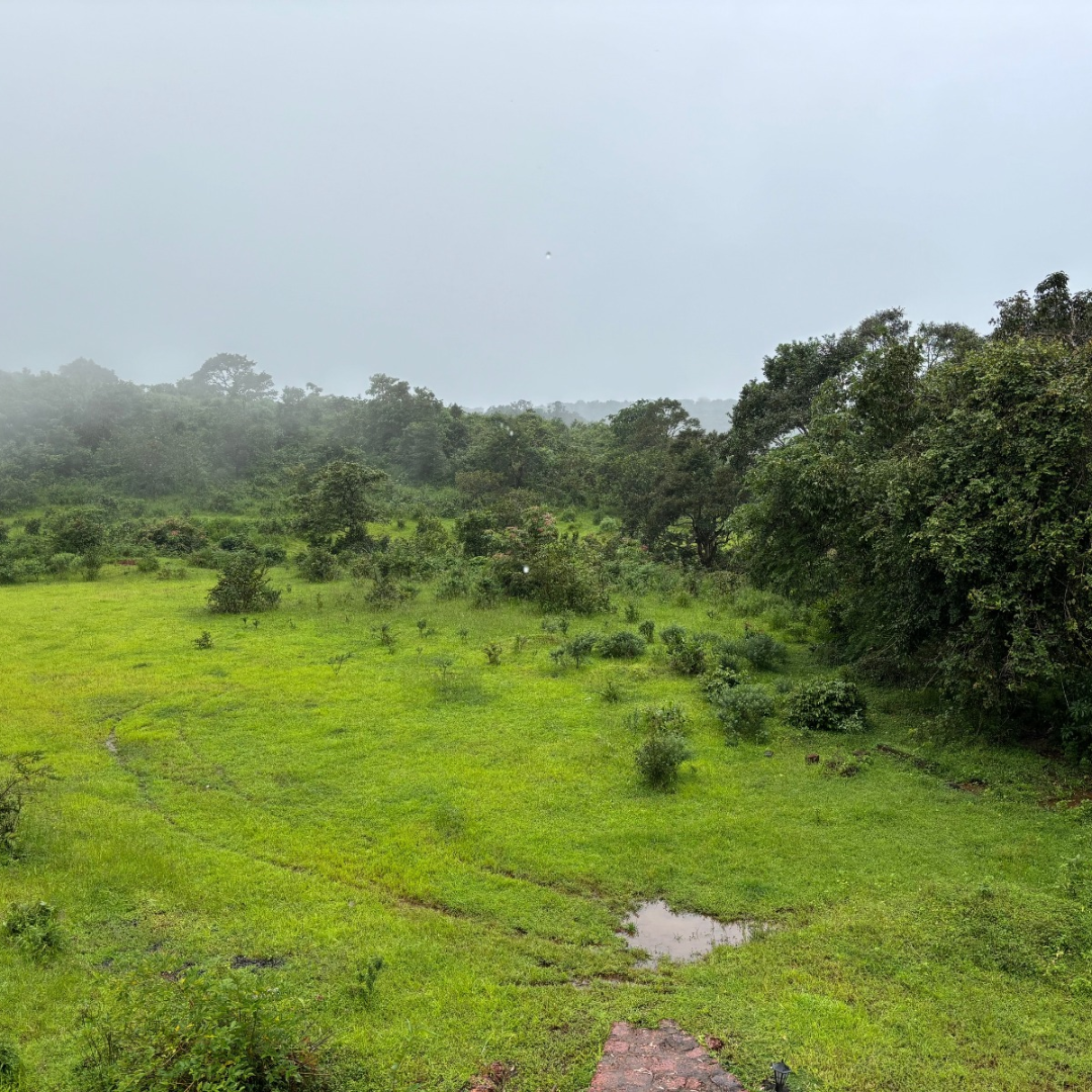 Narayan Gal img2